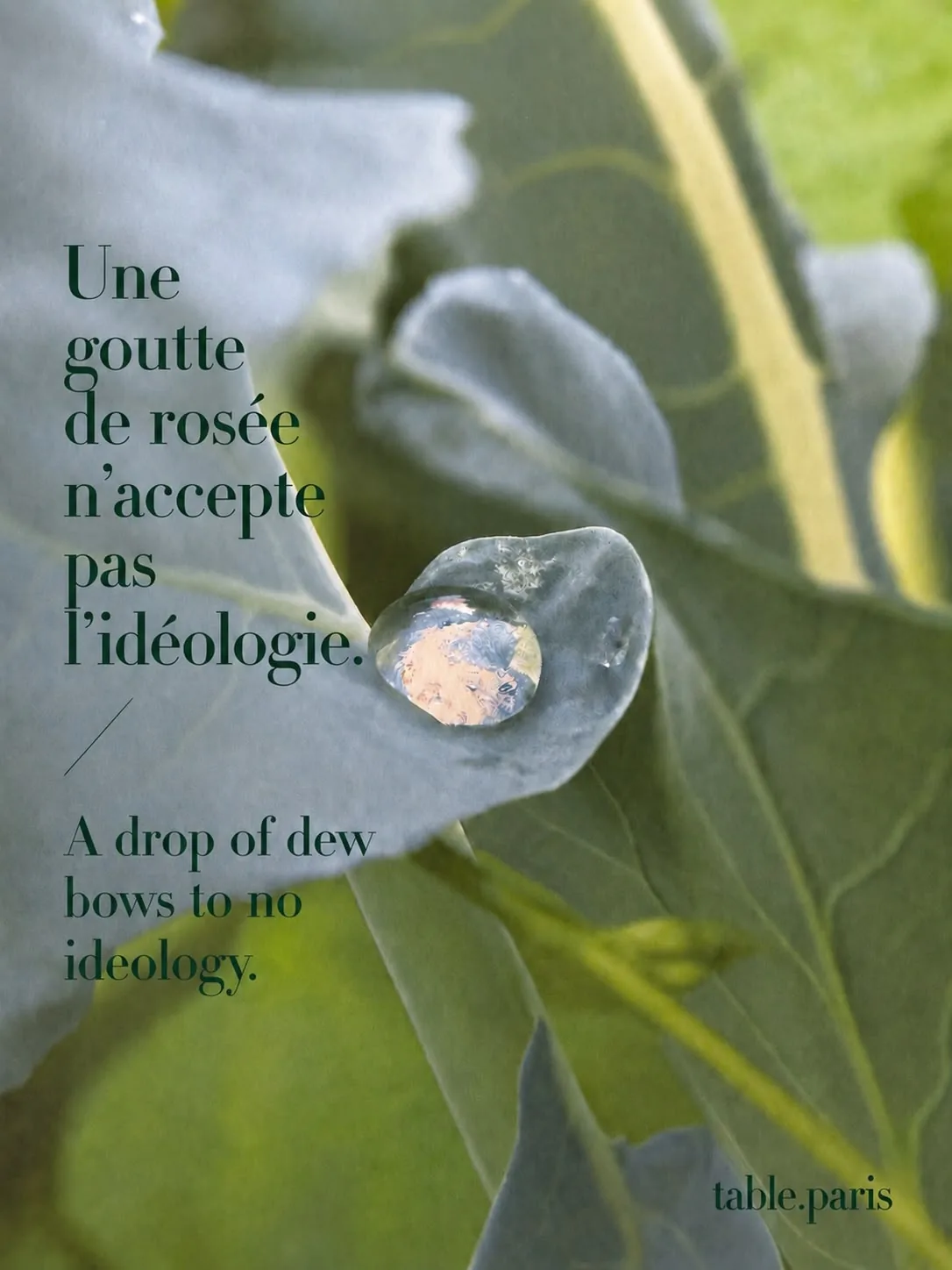 Affiche : "Une goutte de rosée n'accepte pas l'idéologie."