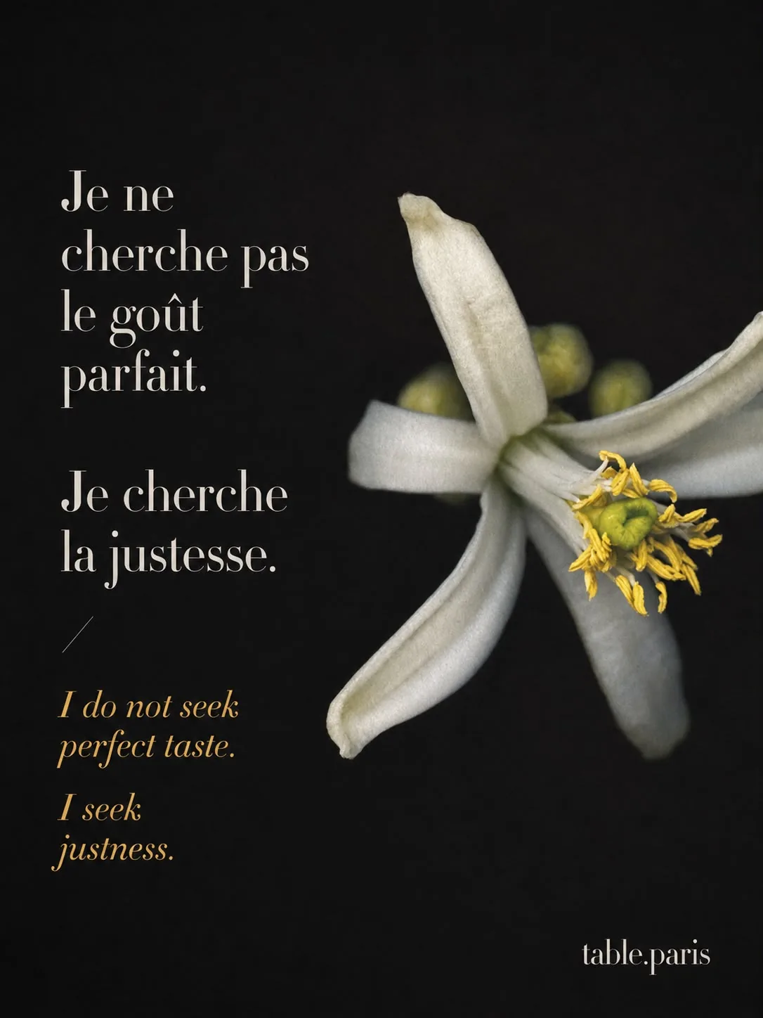 Affiche : "Je ne cherche pas le goût parfait. Je cherche la justesse."